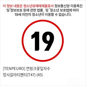 [TENPEURO] 연핑크꽃잎자수 망사갈라티팬티(T47) (45)